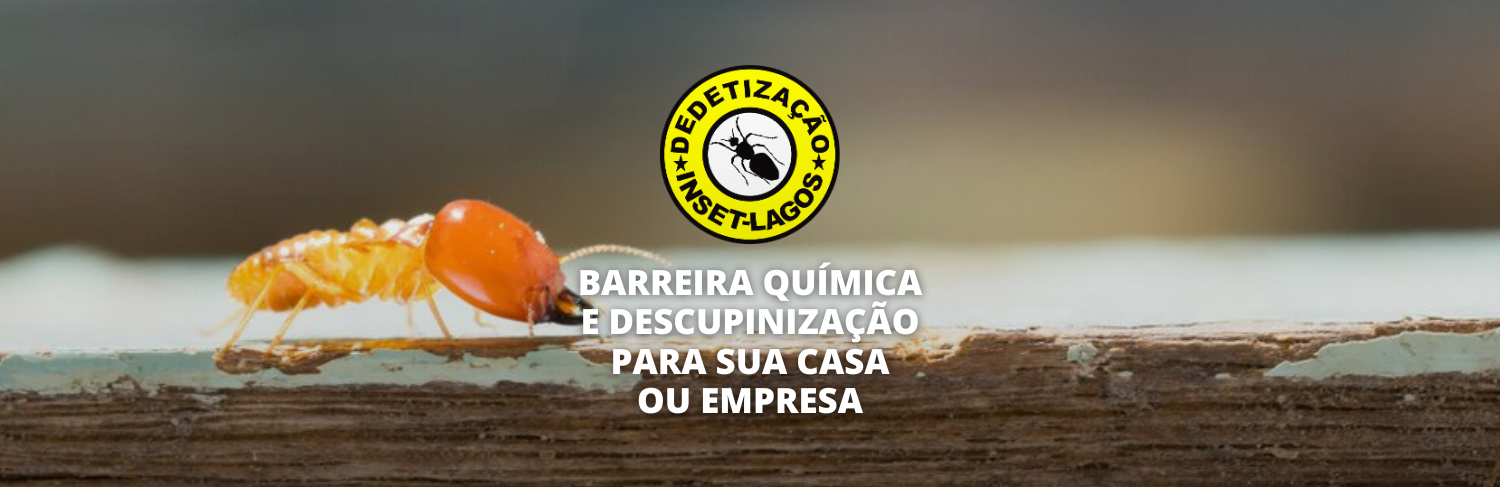 Banner BQ Insetlagos.png